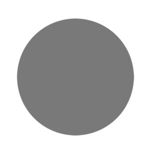 RUPES WETFINISH Foam Abrasive Discs 125 mm (5") P3000 Grit – Grey — Box of 20 Pieces