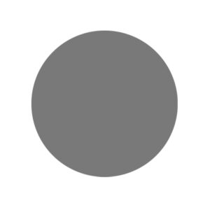 RUPES WETFINISH Foam Abrasive Discs 75 mm (3") P3000 Grit – Grey — Box of 20 Pieces