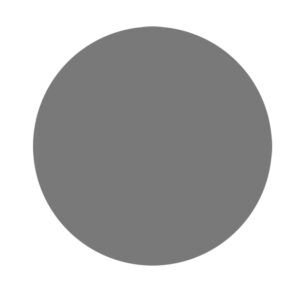 RUPES WETFINISH Foam Abrasive Discs 150 mm (6") P3000 Grit – Grey — Box of 20 Pieces