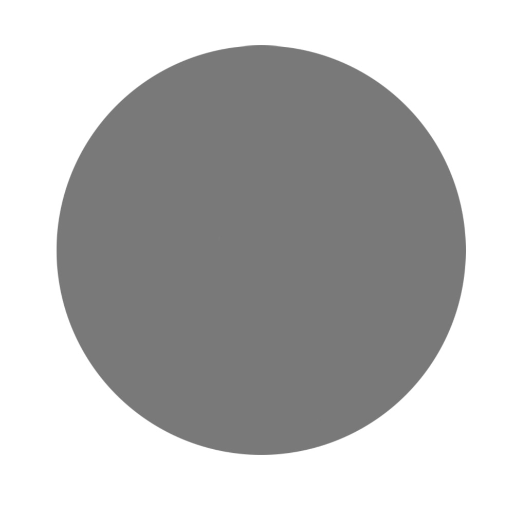 RUPES WETFINISH Foam Abrasive Discs 150 mm (6") P3000 Grit – Grey — Box of 20 Pieces 1 RUPES WETFINISH Foam Abrasive Discs 150 mm (6") P3000 Grit – Grey — Box of 20 Pieces